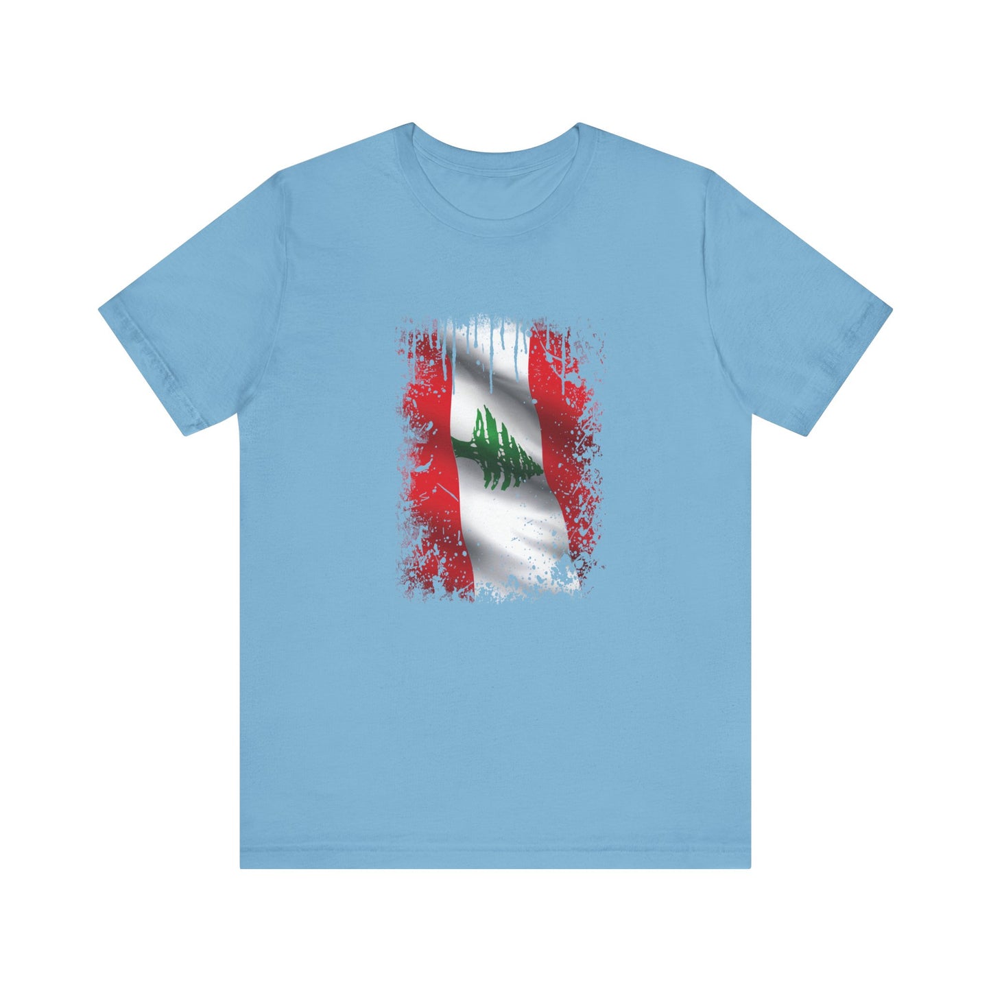 Timeless Resilience: Lebanon's Flag in Distressed Style
