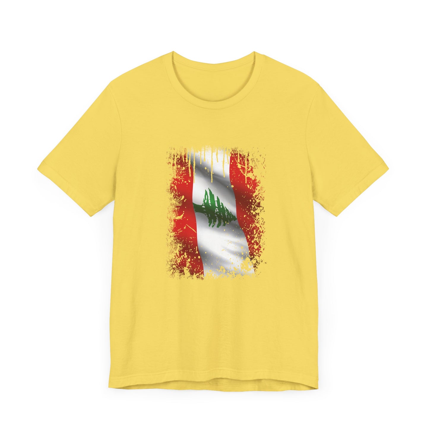 Timeless Resilience: Lebanon's Flag in Distressed Style