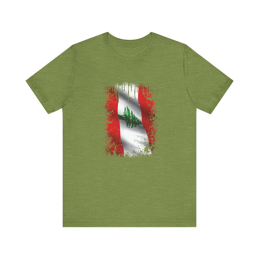 Timeless Resilience: Lebanon's Flag in Distressed Style