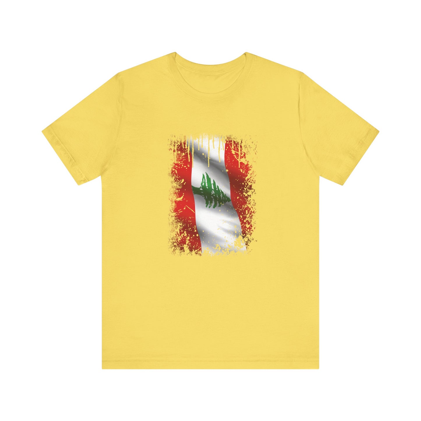 Timeless Resilience: Lebanon's Flag in Distressed Style