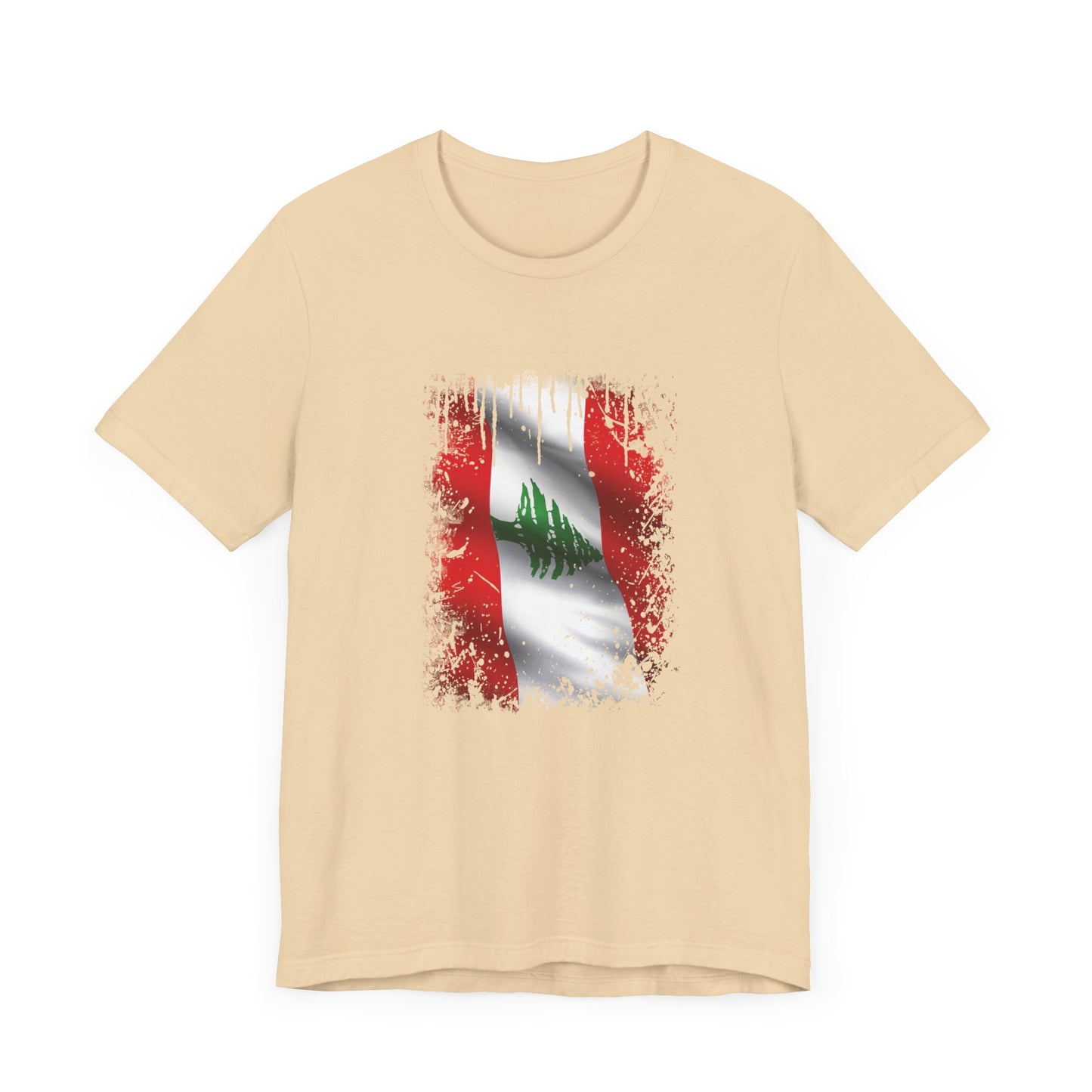 Timeless Resilience: Lebanon's Flag in Distressed Style