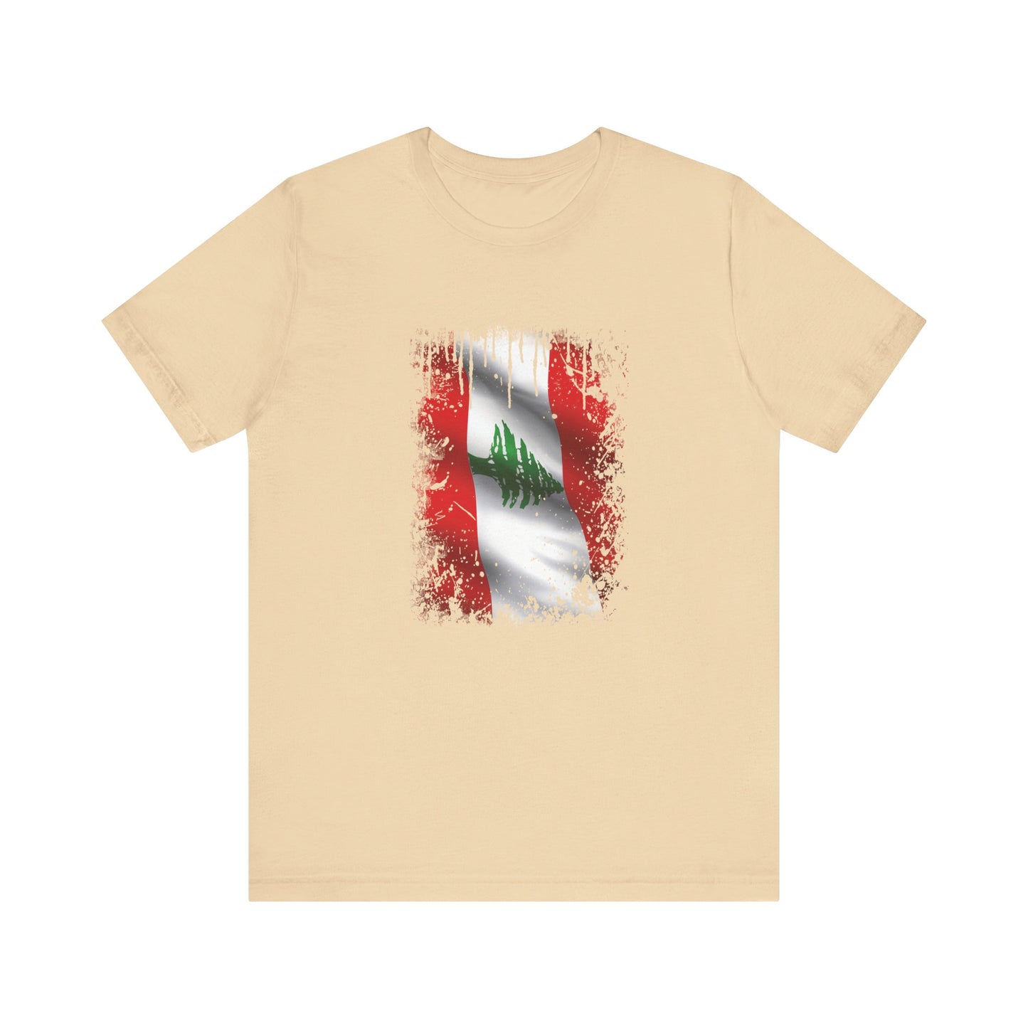 Timeless Resilience: Lebanon's Flag in Distressed Style