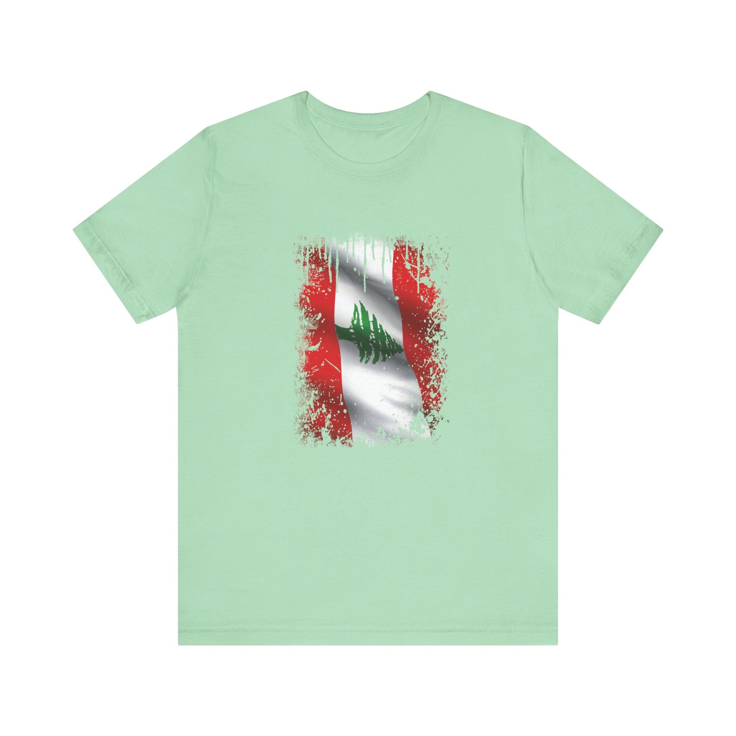 Timeless Resilience: Lebanon's Flag in Distressed Style