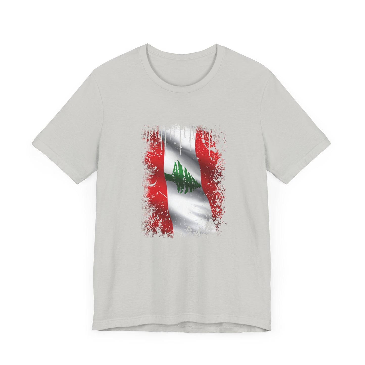 Timeless Resilience: Lebanon's Flag in Distressed Style